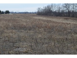 24 Grassland Acres - 20+/- Acres Wooded & 24+/- Acres Grassland, LAND AUCTION